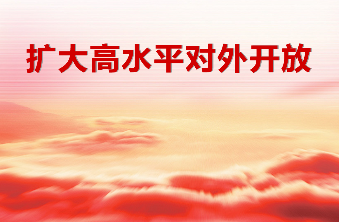 某区区扩大高水平对外开放“十五五”规划编制咨询服务