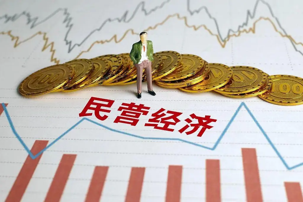 某区民营经济高质量发展研究